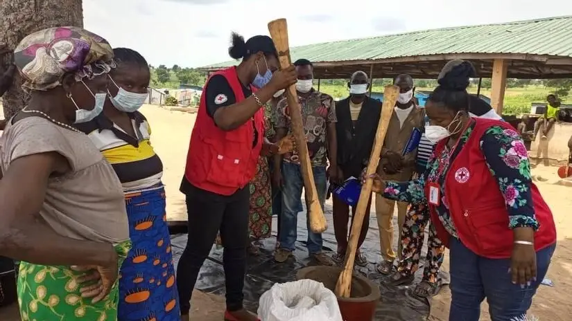 Opportunity to Offer Your Expertise While Traveling Abroad (Pro Bono Consulting Projects Available for High-Skilled Volunteers to Support Vetted and Verified NGOs)--14 Host Organization in Nigeria