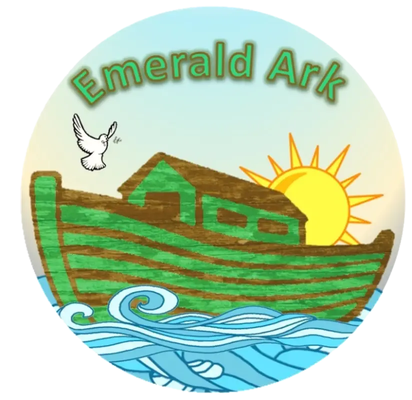 Word Press Website Designer