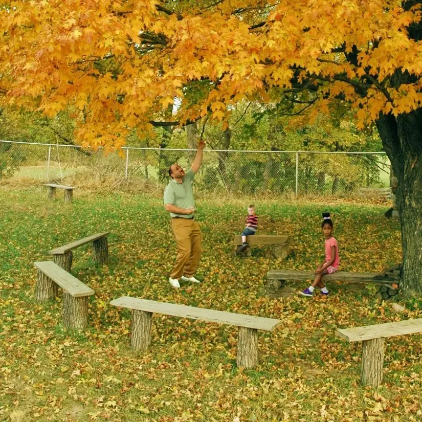 Share books and stories on nature