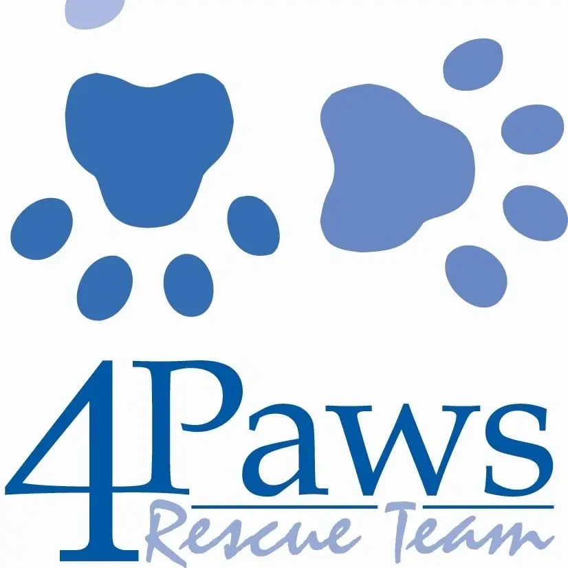 Cat Caretaker at Alexandria Petco