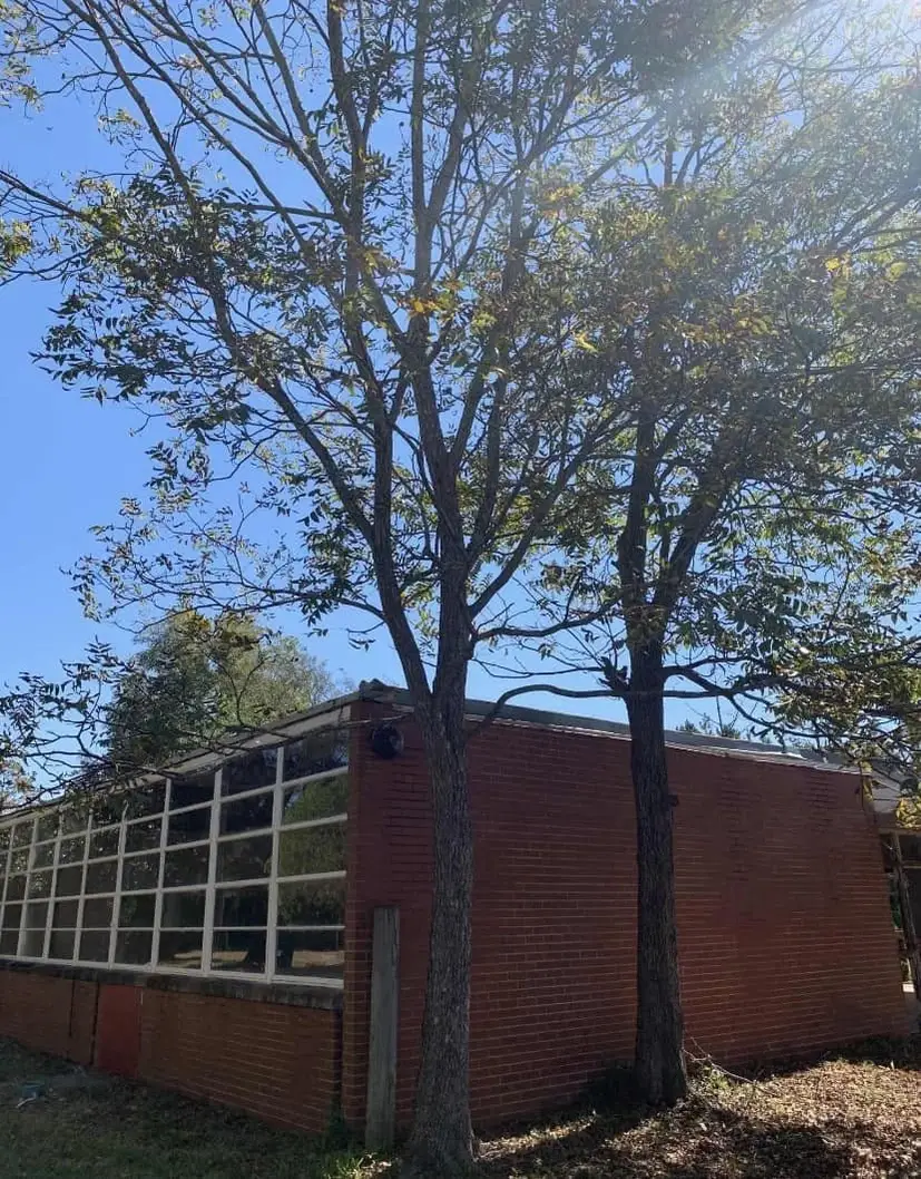 Help Build Safe, Sustainable, Inclusive Spaces in Rural Georgia