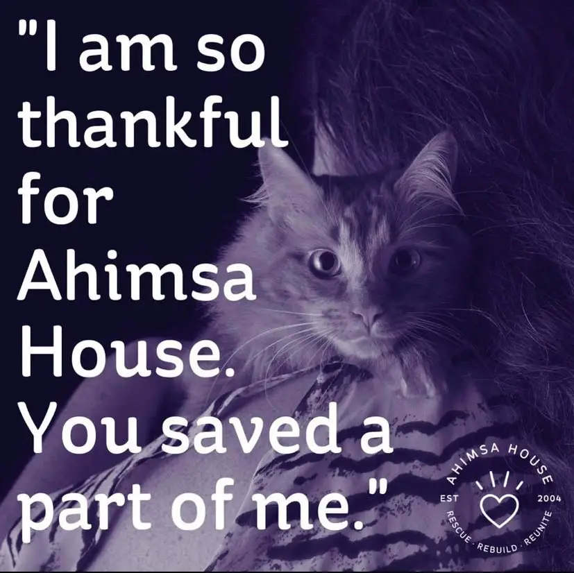 Transport Pets to Safety from Domestic Violence