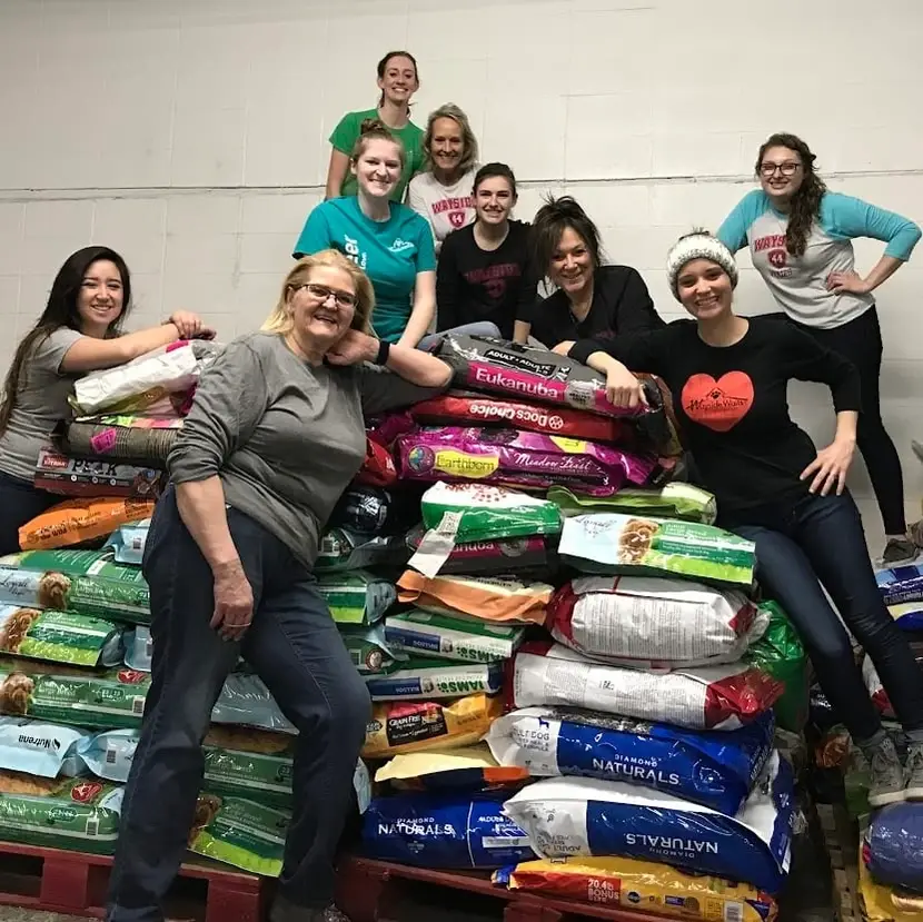 Corporate Volunteer Group Opportunities