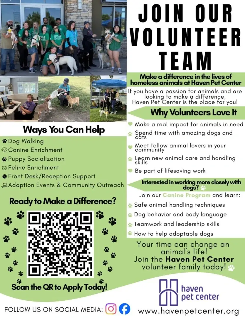Volunteer Front Desk Liason