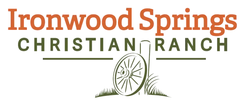 In-Person Kitchen Volunteers Needed