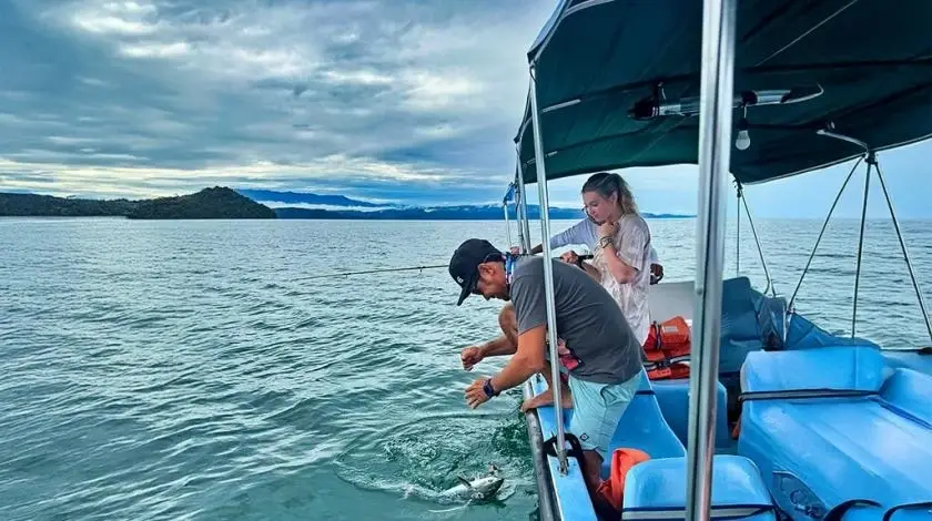 Floating Habitats: Marine Wildlife in a Costa Rican Fjord