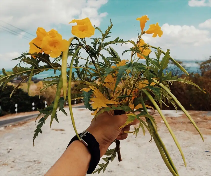 A man holding up a bouquet of yellow flowers.