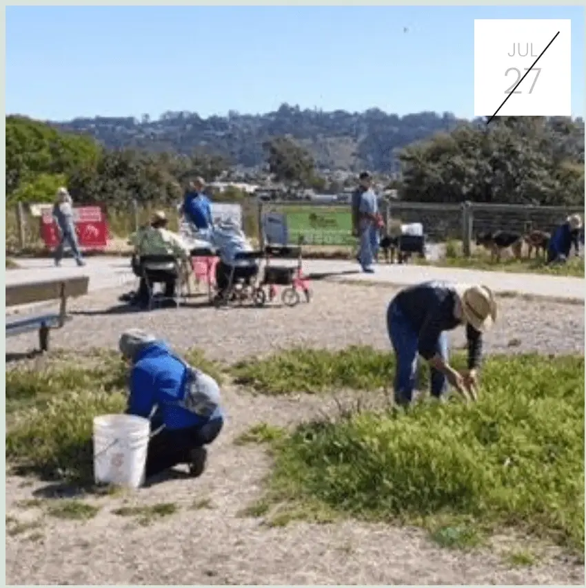 Volunteer Engagement Coordinator