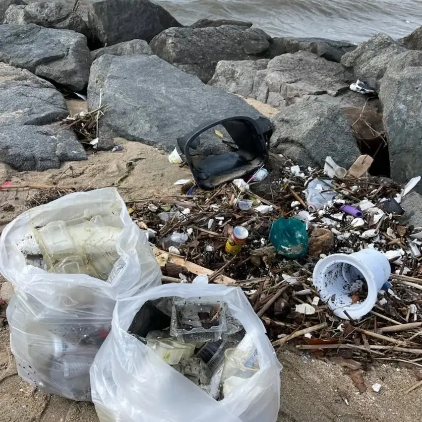 Surfrider Foundation - Beach Cleanup - The Wedge - Nwprt Bch