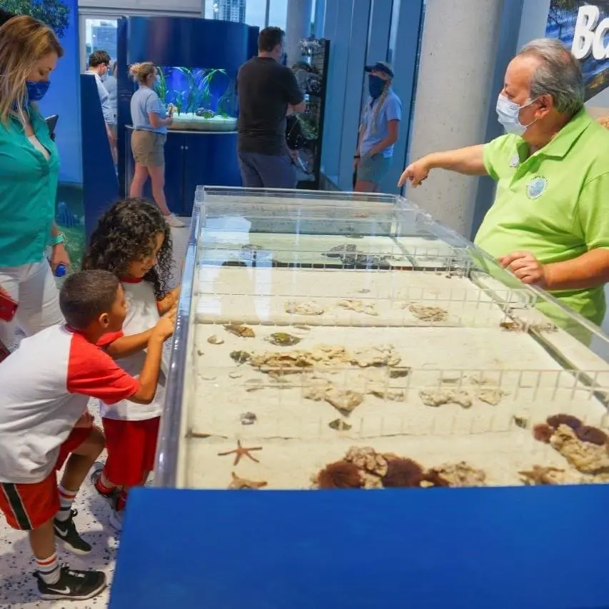 Touch Tank Volunteer