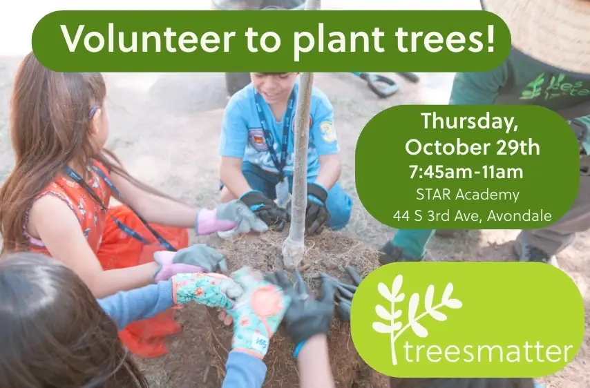 Tree Planting at STAR Academy!