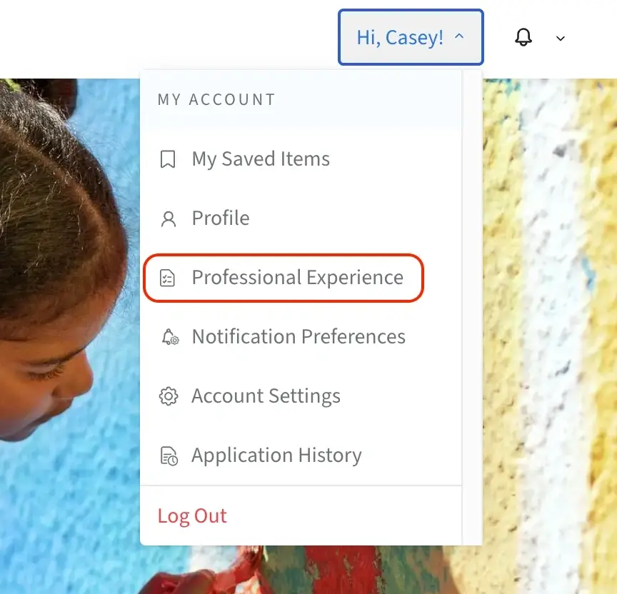 A screenshot of the Idealist website showing where to select Professional Experience from the dropdown menu.