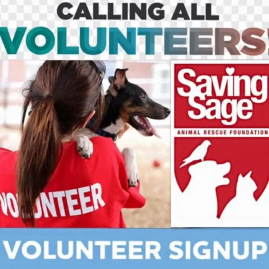 Animal Care - North Miami Beach
