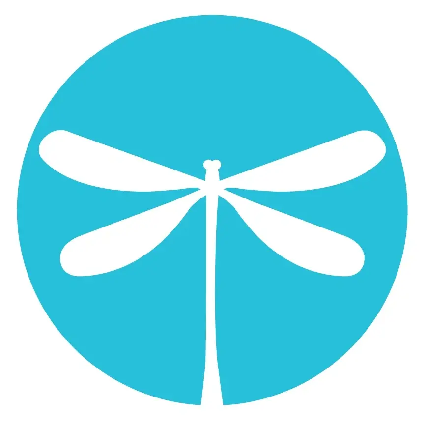 Hospice Volunteer