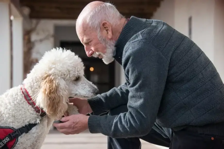 Therapy Pet Volunteers Needed