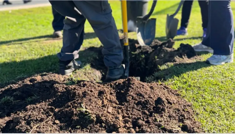 Rooted in Earth. A Soil Day at Lopez Urban Farm