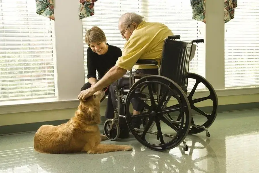 Comfort Paws Hospice Volunteer