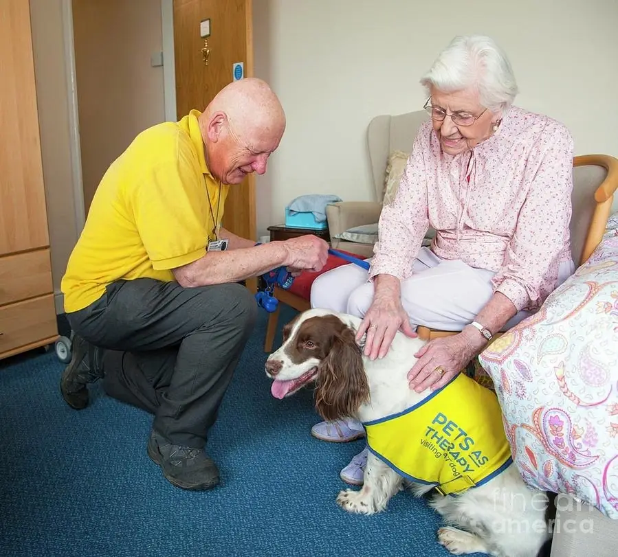 Pet Therapist Volunteer- Kingman