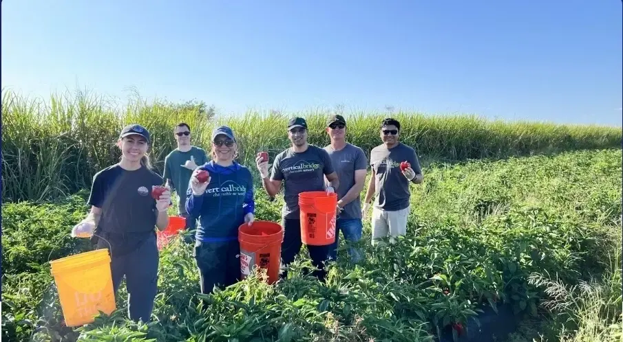 Gleaning Volunteer Project