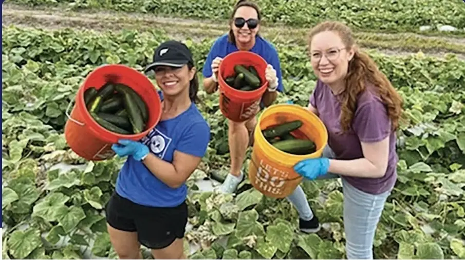 Gleaning Volunteer Project