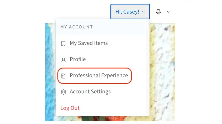 A screenshot of a red circle around Professional Experience.