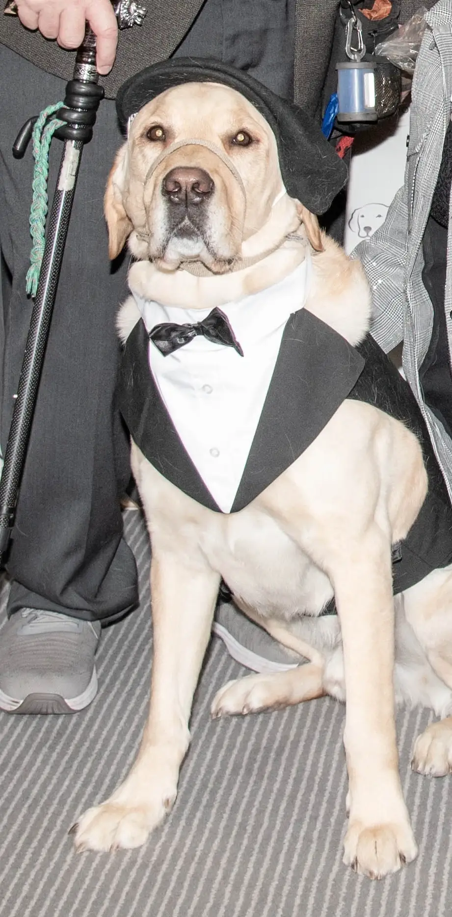 Event Photography for the Fetching Ball Gala