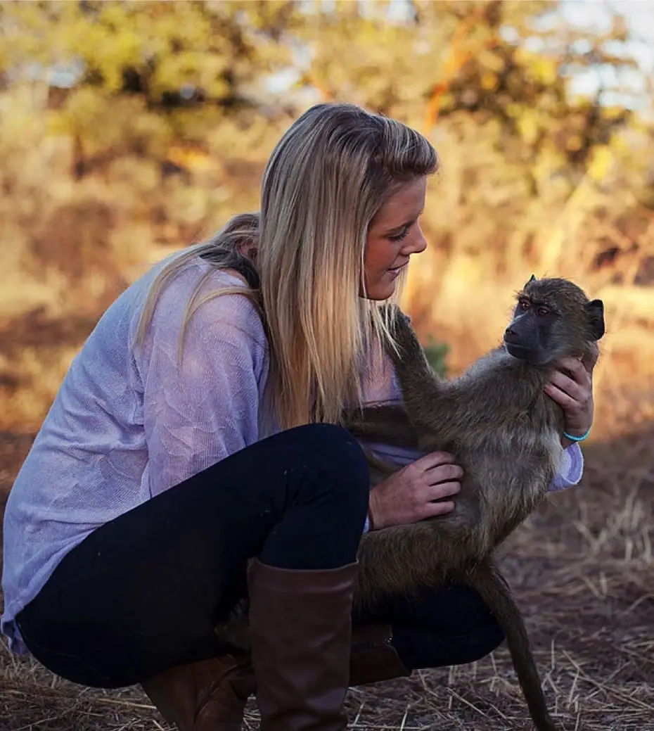 Volunteer Communications Coordinator at a Wildlife Rescue Center in Zimbabwe