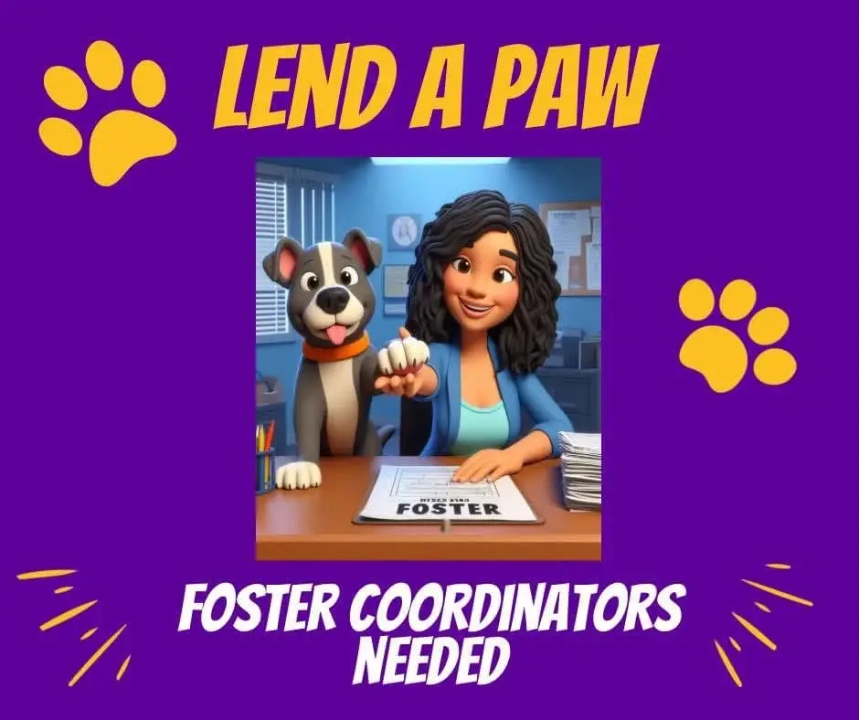 Dog Rescue Foster Coordinator -Maryland
