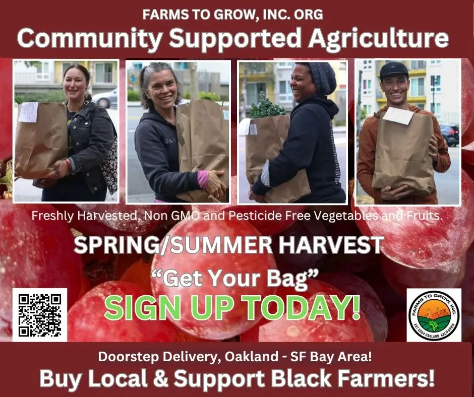 Community Support Agriculture "CSA" Team (USA Residents Only)