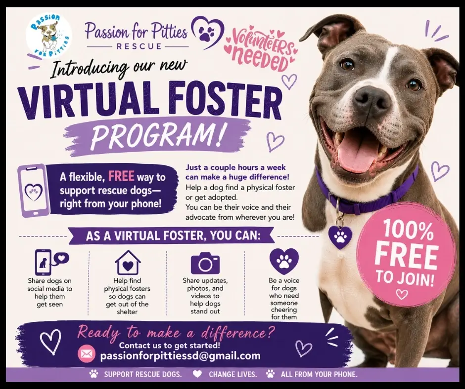 Virtual Foster - Use Your Social Media to Help Rescue Dogs! (Remote, Volunteer)