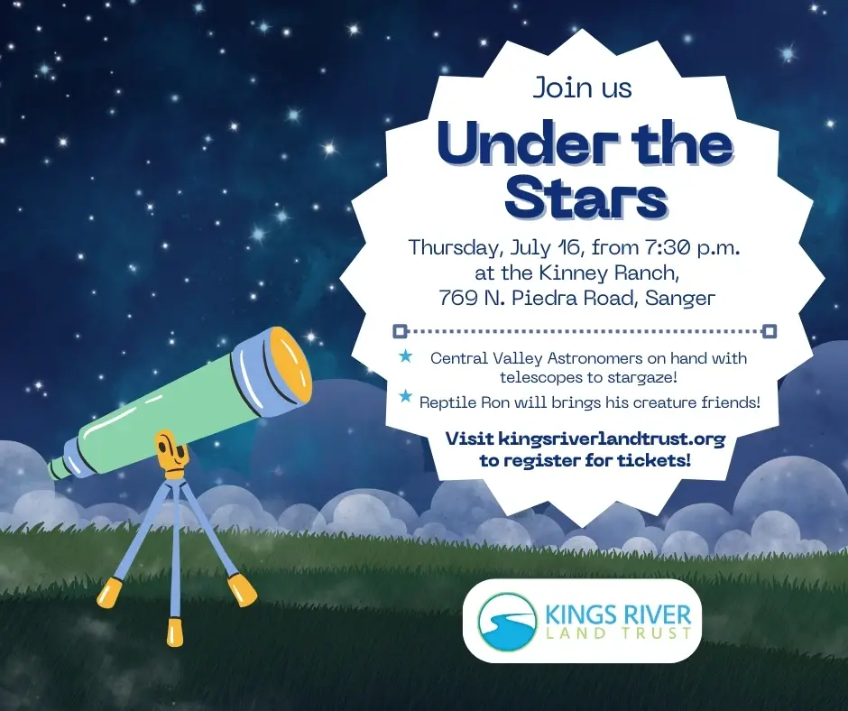 Under the Stars: Stargazing on the Kings River
