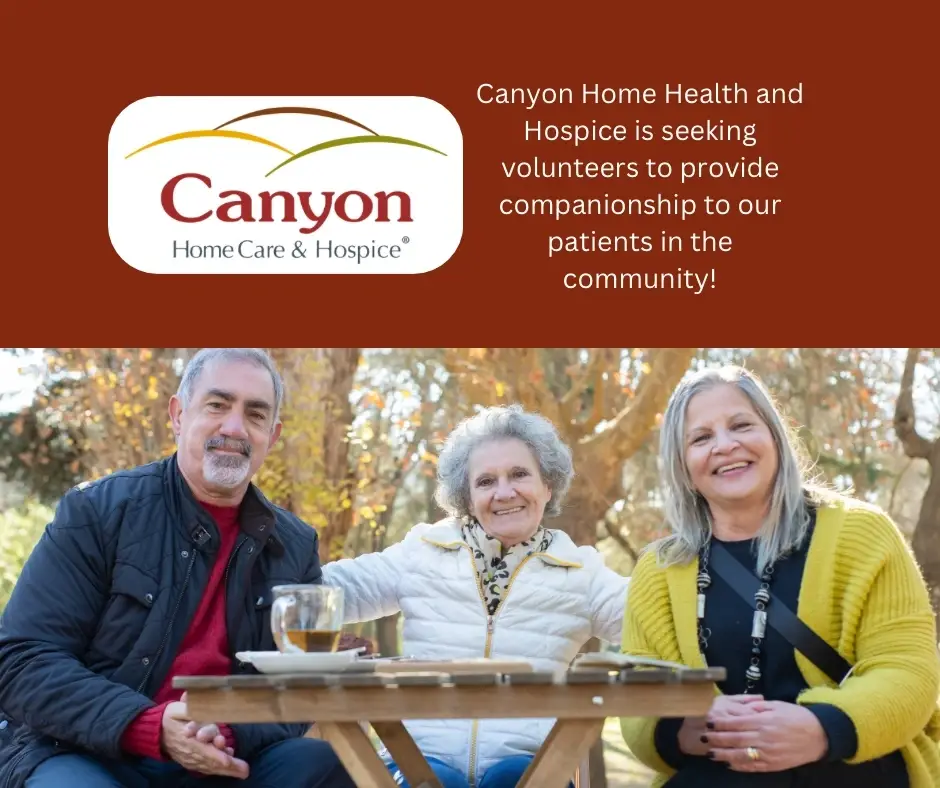 Companionship Volunteer