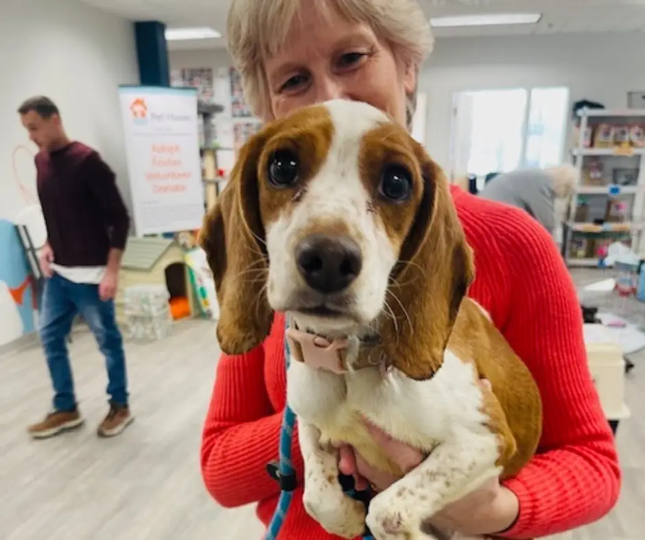 Surgery Front Desk Volunteer