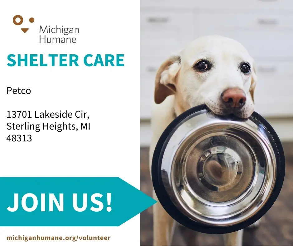 Shelter Care