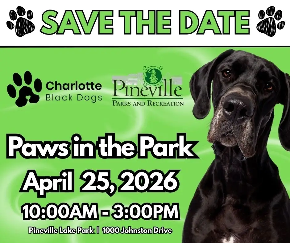 Volunteering at Paws in the Park-  April 25, 2026