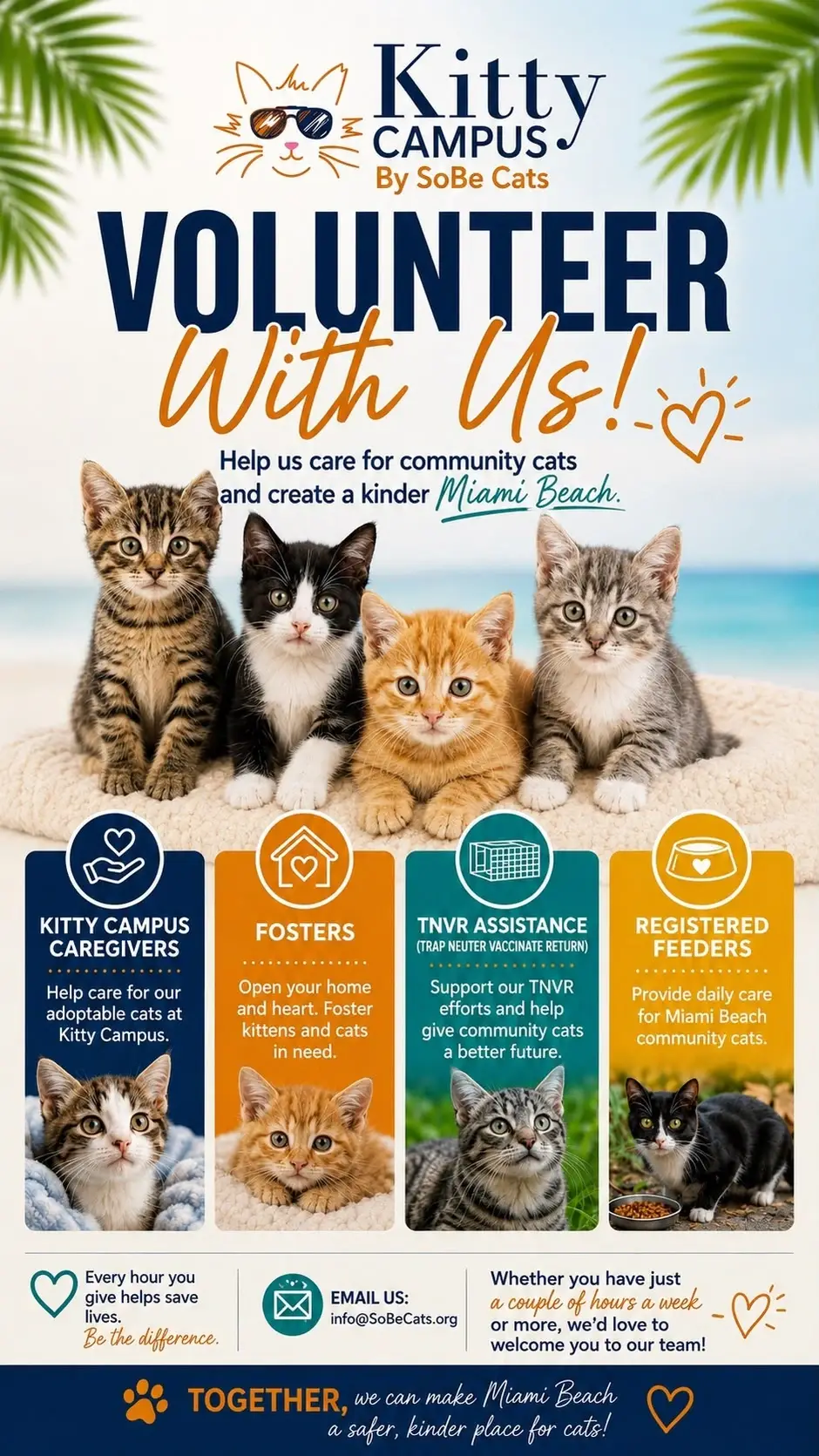 Kitty Campus Volunteer