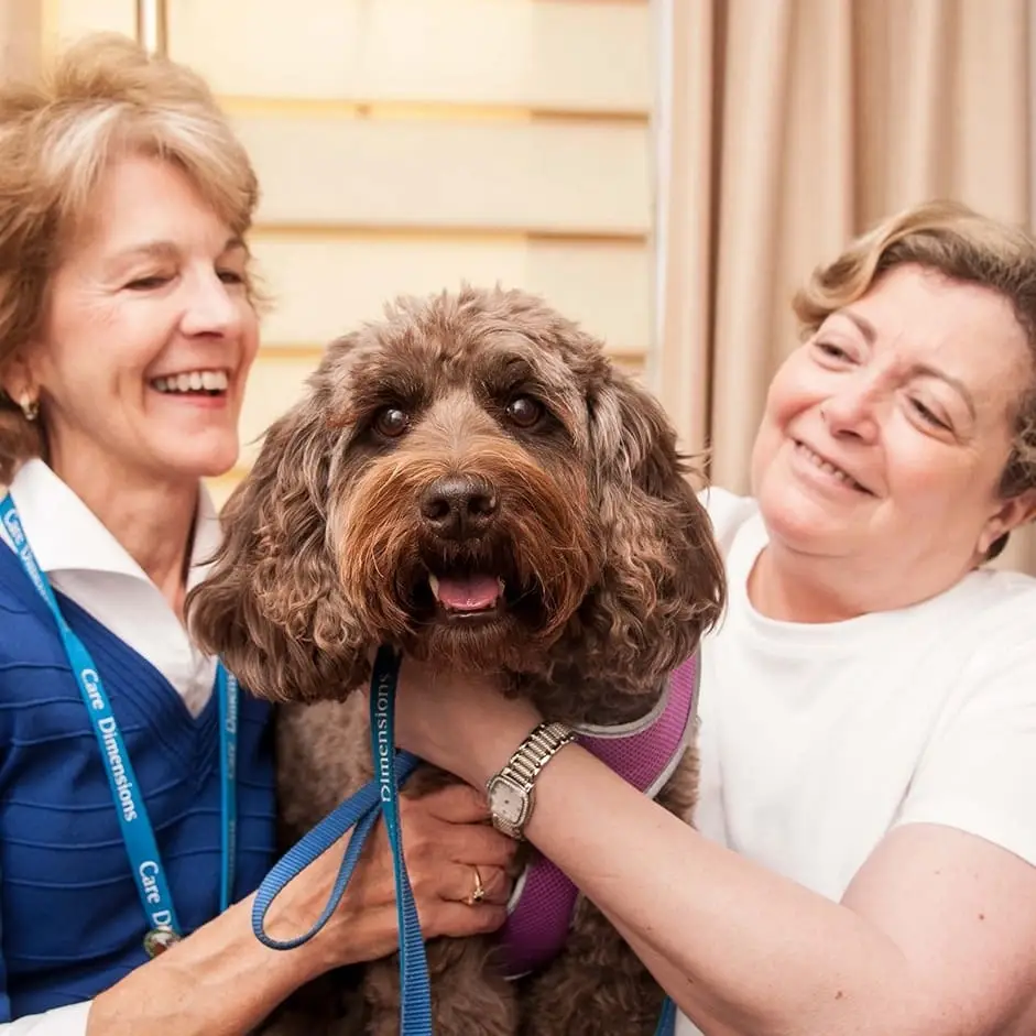 For the love of dogs.