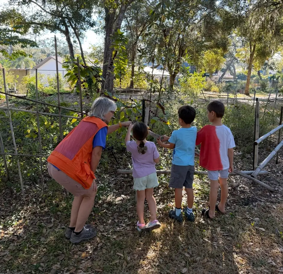 A Sensory Forest Adventure Program Assistant