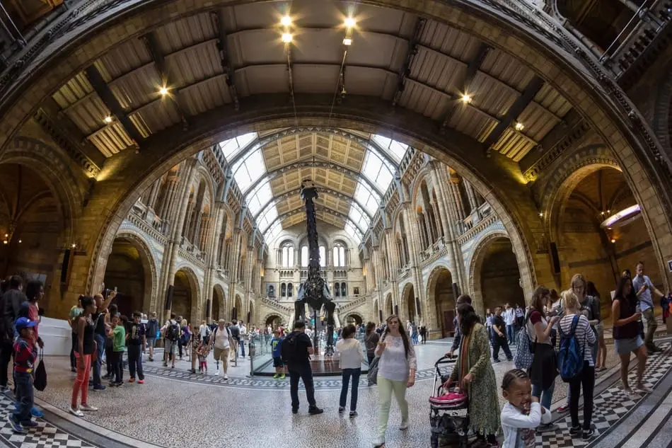 A photograph from inside of a museum.