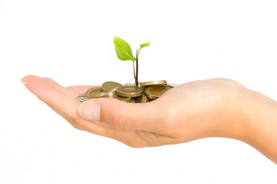 Mão com moedas e uma muda de planta.