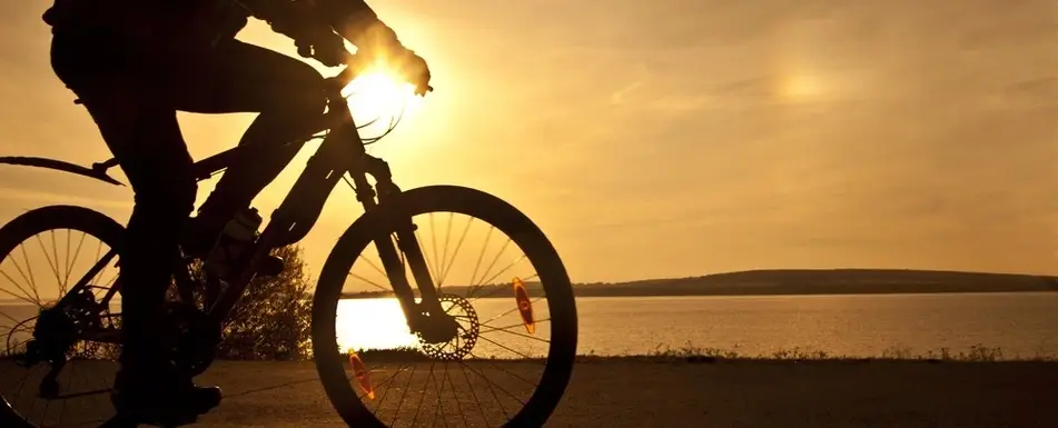 Someone riding a bicycle past a sunset.