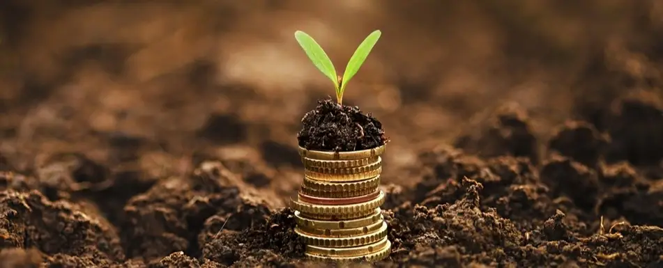 A stake of coins in a pile of dirt.