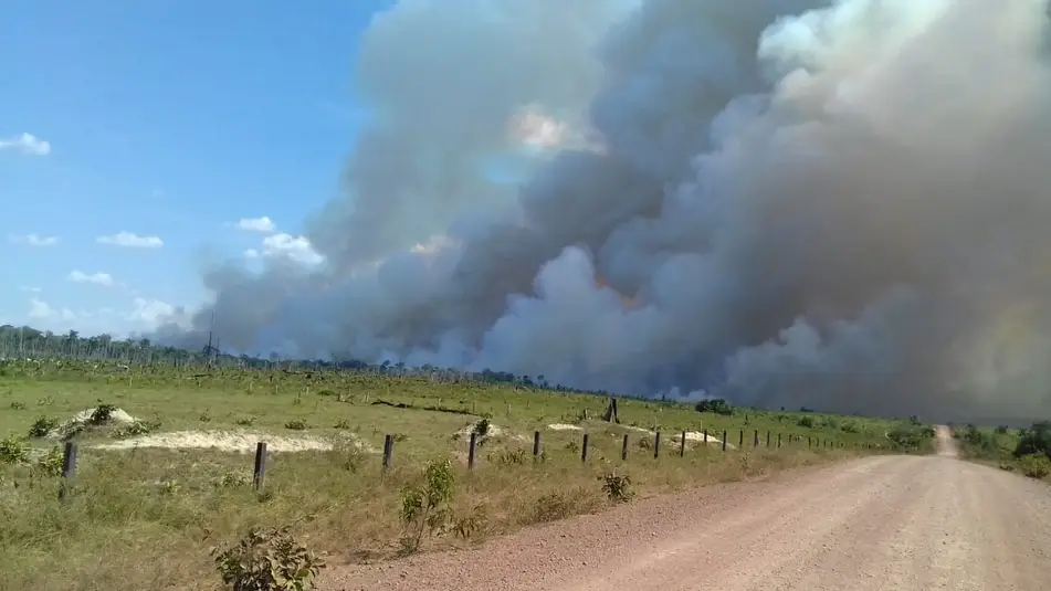 Queimadas acontecendo em floresta, visto de estrada de terra