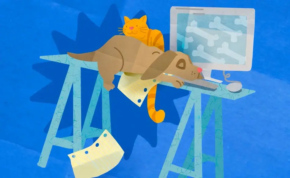 Abstract illustration of working at home with a pet, featuring an illustration of a dog and cat on a bright blue background.