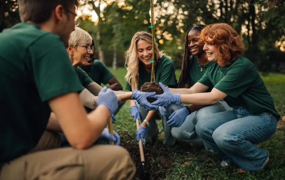 Seis personas plantan un árbol como parte de un voluntariado.