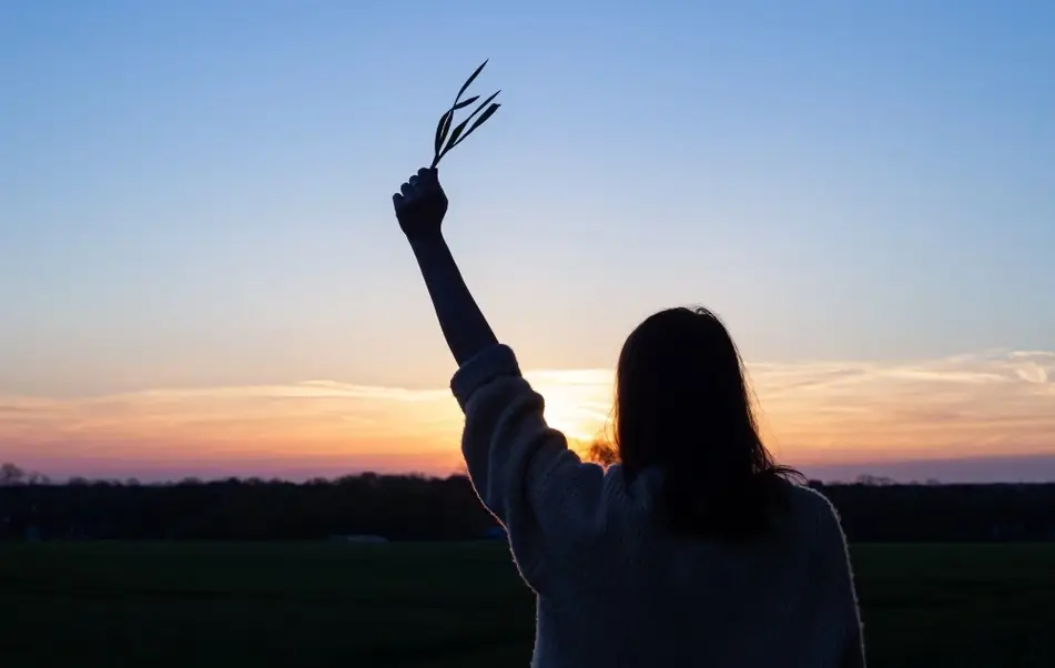 Mujer elevando una planta ante una puesta de sol