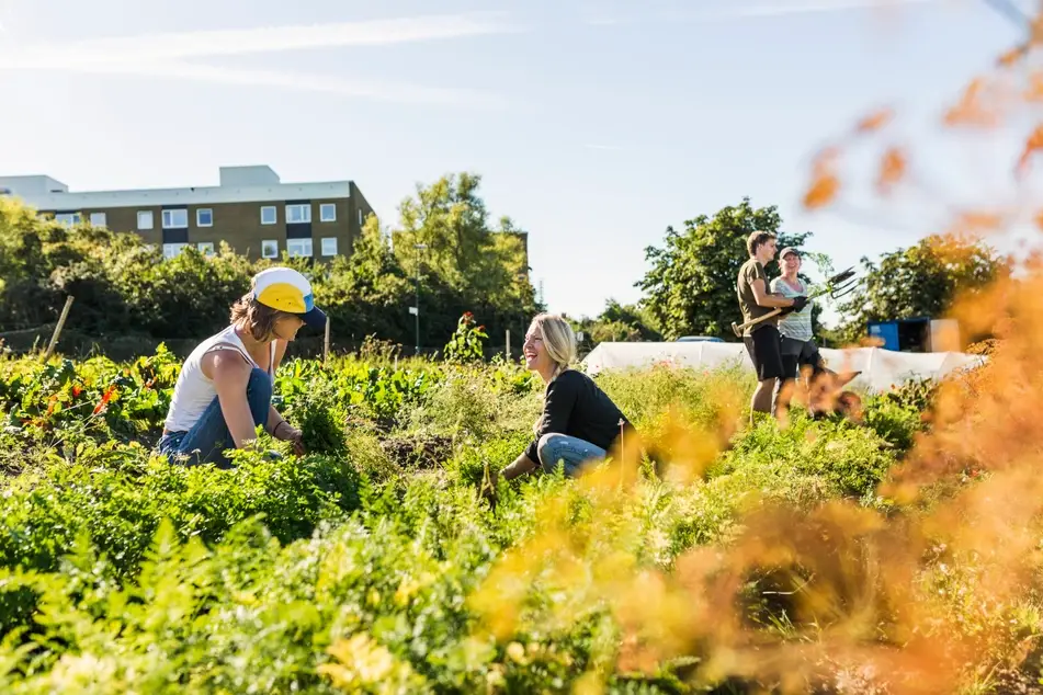 two women volunteer at a garden