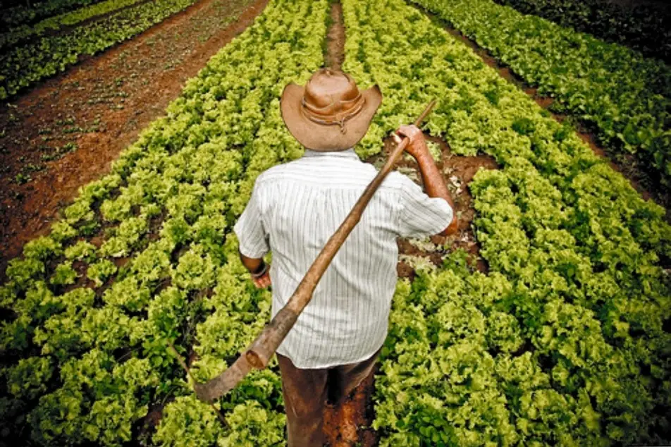 A man working in a field.