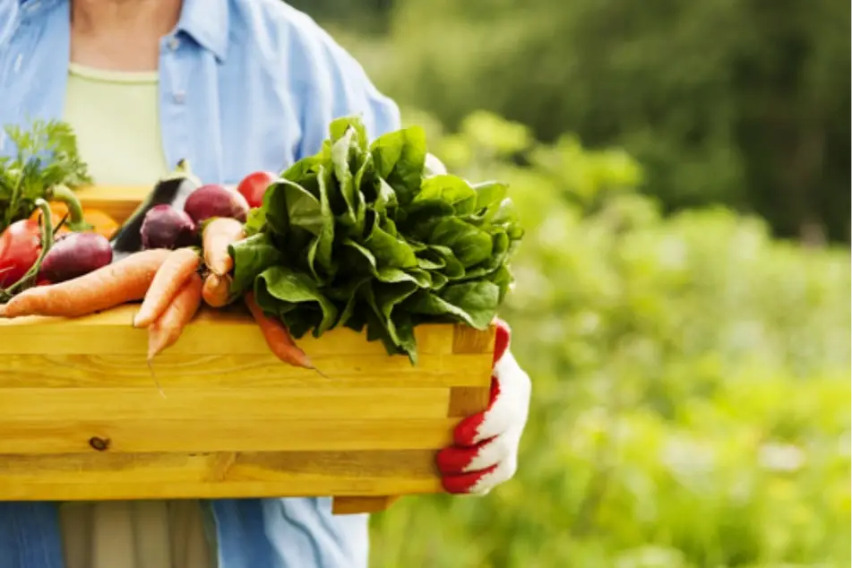 Una mujer llevando una caja de madera llena de verduras