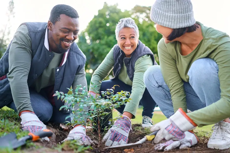 volunteers participate in a tree planting activity